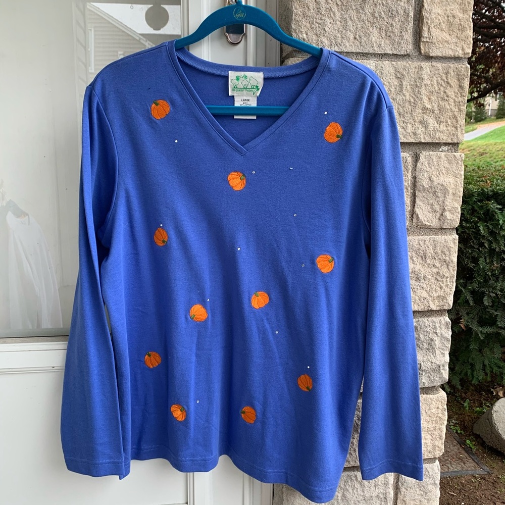 Quacker Factory Pumpkin Long Sleeve-Blue